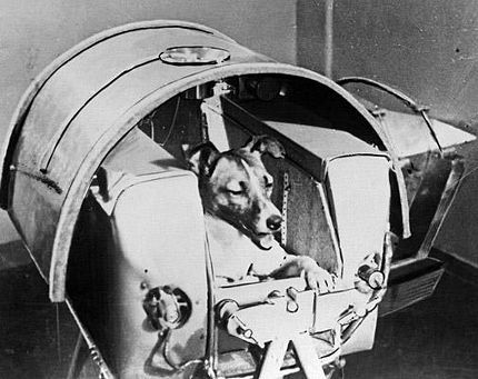 3-11-1957 Con chó Nga Laika trở thành sinh vật đầu tiên được bay vào vũ trụ trên vệ tinh Sputnik 2.
